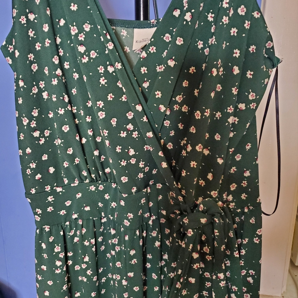 Stitch Fix green jumpsuit